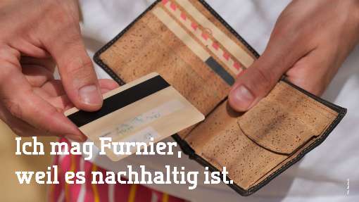 Bilder 1-3: Furnier sch�tzt das Klima in optisch reizvoller Form. Fotos: IFN